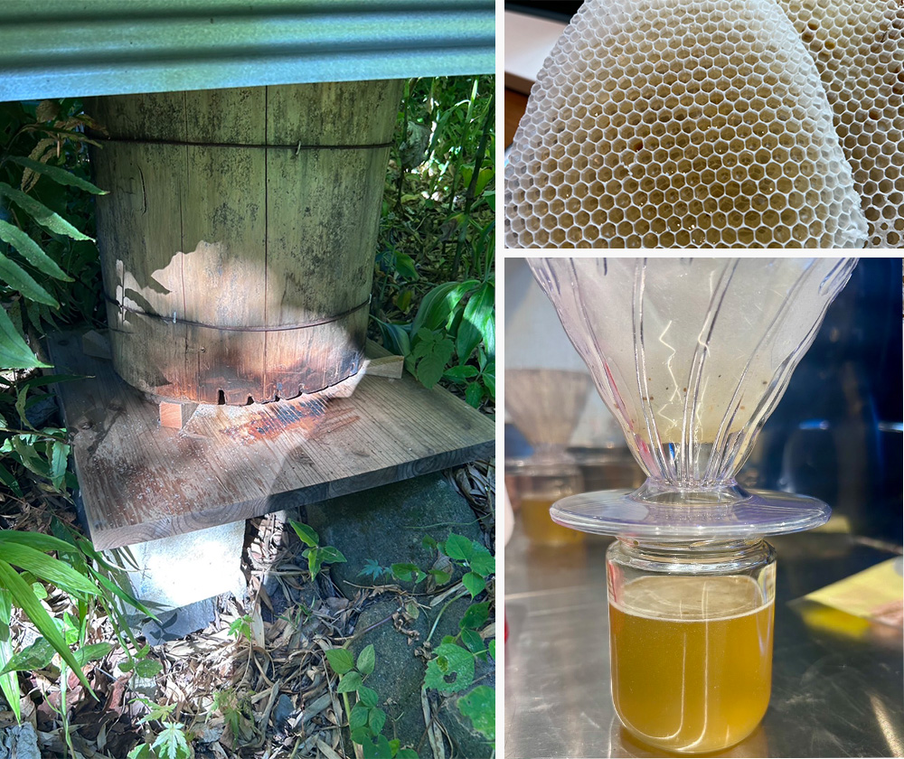 ワークショップ